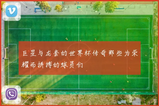 巨星与龙套的世界杯传奇那些为荣耀而拼搏的球员们