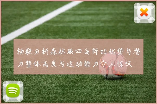 杨毅分析森林狼四高阵的优势与潜力整体高度与运动能力令人惊叹